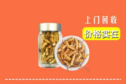 收购资讯:长治襄垣县回收散虫草