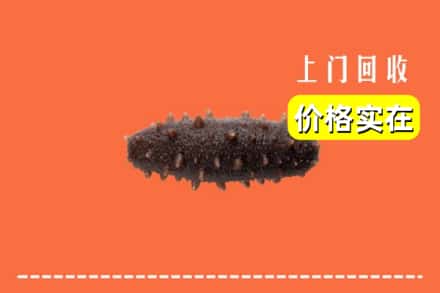 收购资讯:长治襄垣县回收海参
