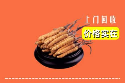 收购资讯:长治襄垣县回收冬虫夏草